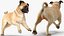 pug dog running pose 3D model