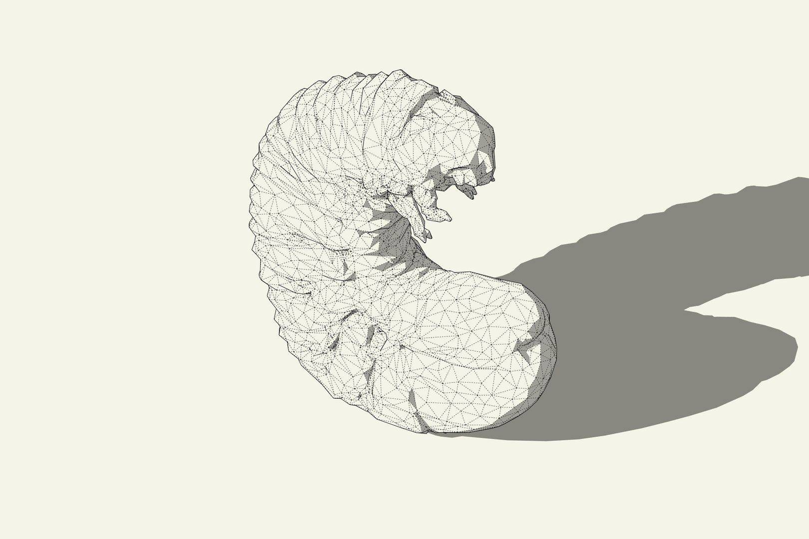 3D White Grub Model - TurboSquid 2381093