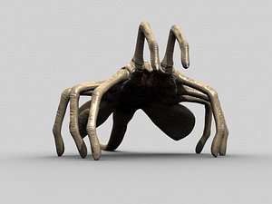 Rigged Alien Xenomorph Facehugger & Egg