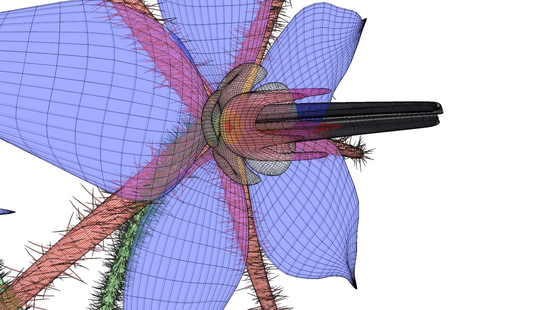 3D borage flower https://p.turbosquid.com/ts-thumb/JM/eE7Utu/IB/0012/jpg/1609360533/1920x1080/fit_q87/95cc735ce089d3e3dda1a6ba93d7c0a0da9def2f/0012.jpg