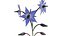 Borage flower