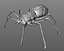 One-of-a-kind Spider