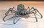 One-of-a-kind Spider