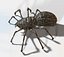 One-of-a-kind Spider