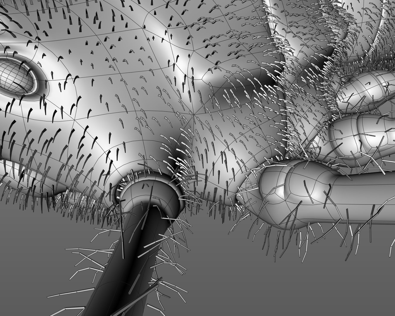 spider one-of-a-kind animations 3D https://p.turbosquid.com/ts-thumb/JM/hGjvVy/ltLAkGyi/render9/jpg/1526923395/1920x1080/fit_q87/be7c81eab4ea4f2a0b42eeb9e0d86b645baeb707/render9.jpg