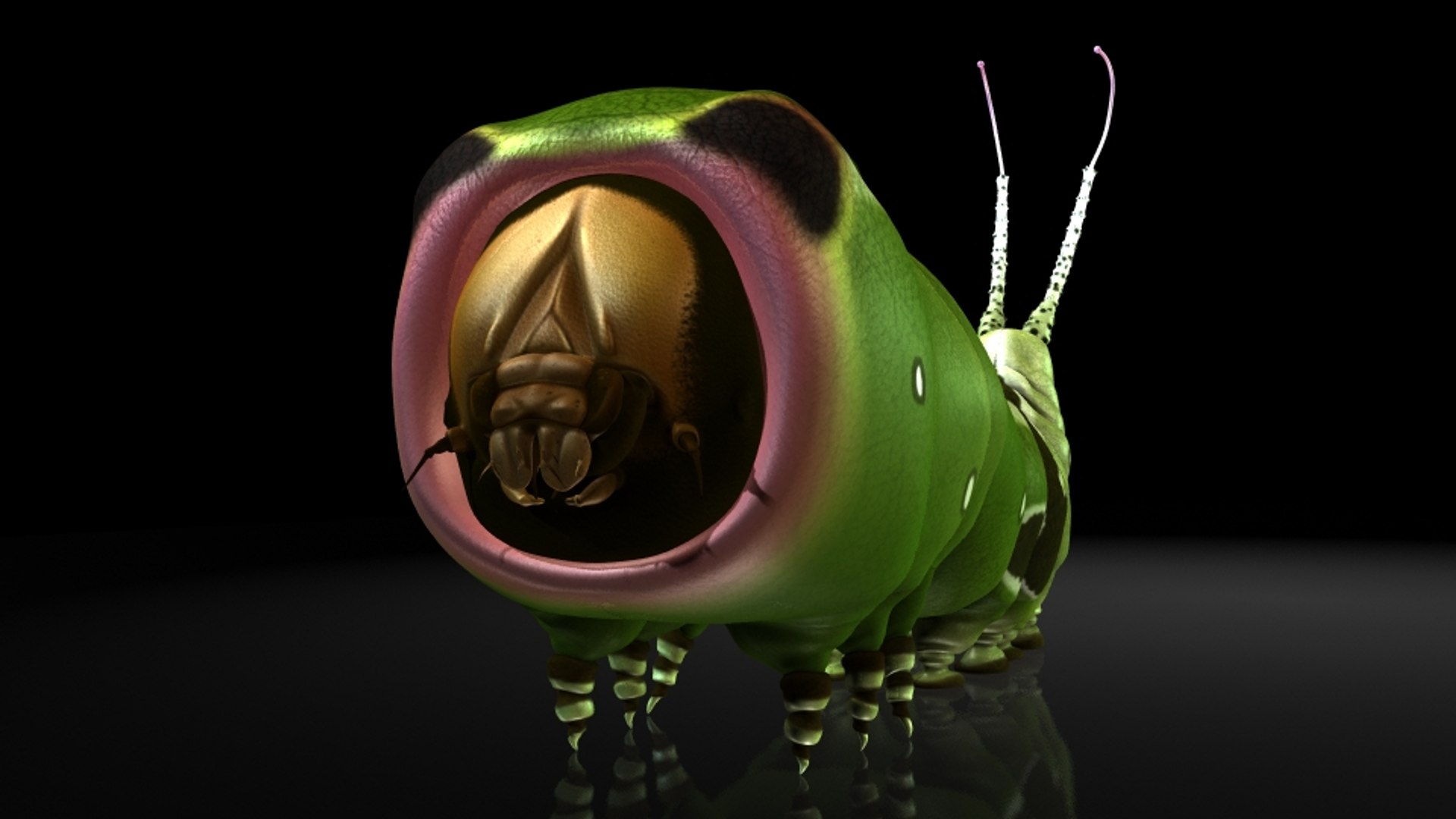 Insect 3D Model - TurboSquid 1214337