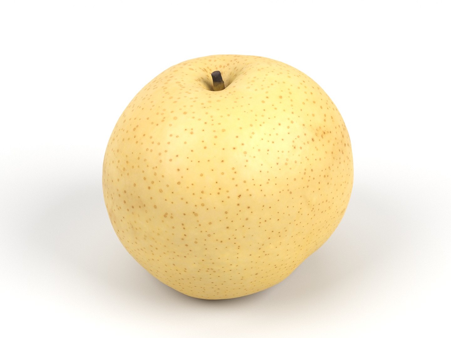 Photorealistic Scanned Nashi Pear 3D Model - TurboSquid 1277492