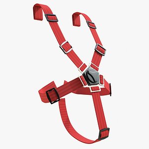 safety belts 01 max