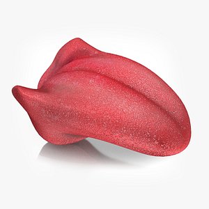Tongue model