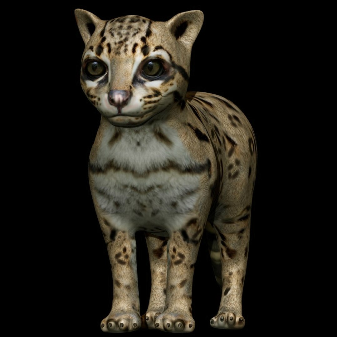 Fully rigged ocelot 3D - TurboSquid 1705335