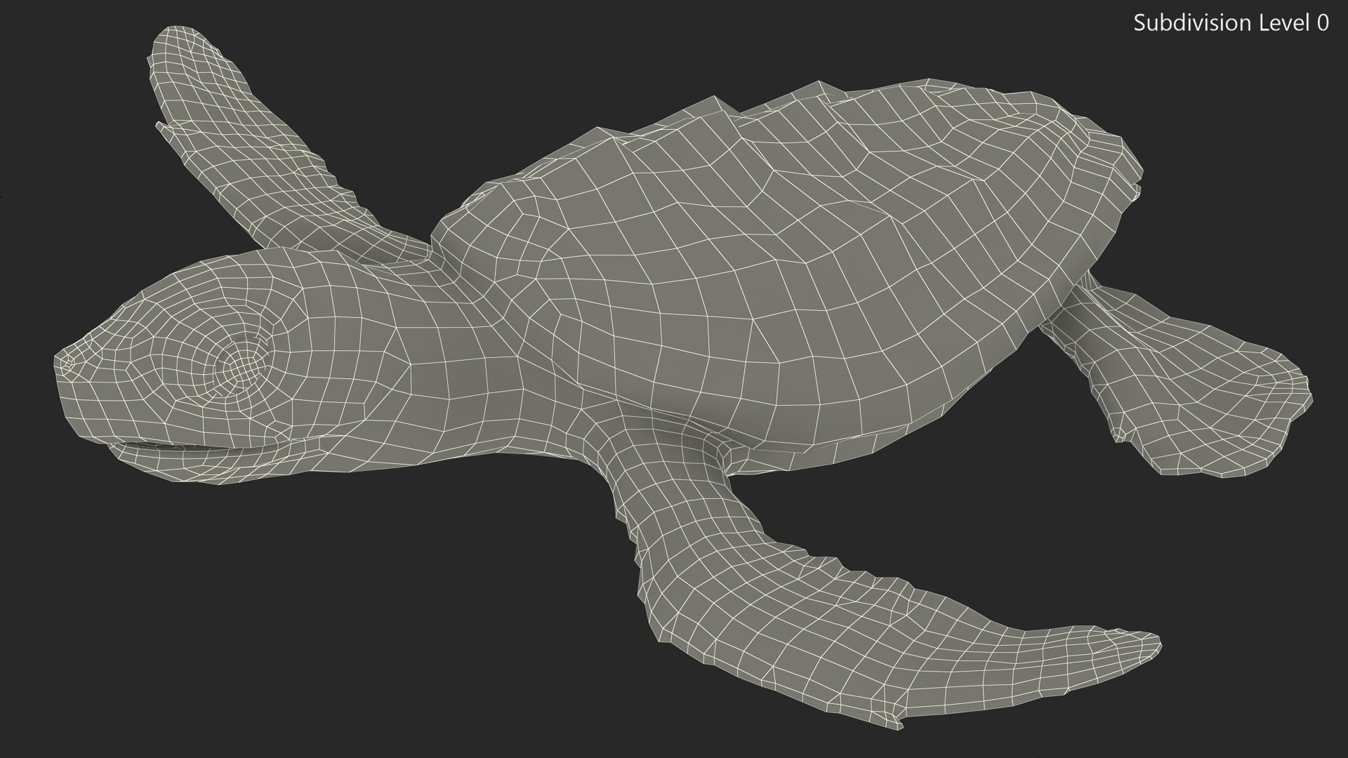 Baby Black Sea Turtle Runs To The Sea Model - TurboSquid 2202988