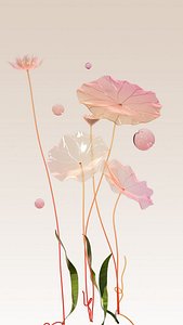 3D model C4D