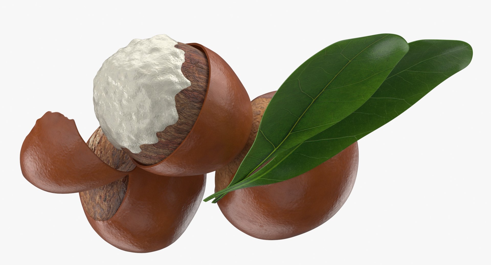 3D model Prop 08 Shea Nuts https://p.turbosquid.com/ts-thumb/JN/azPvm9/5C/prop_08_shea_nuts_thumbnail_0007/jpg/1698058275/1920x1080/fit_q87/386b325070f058ab941ab8a31cc699d920151954/prop_08_shea_nuts_thumbnail_0007.jpg