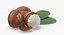Proposición 08 Nueces de karité