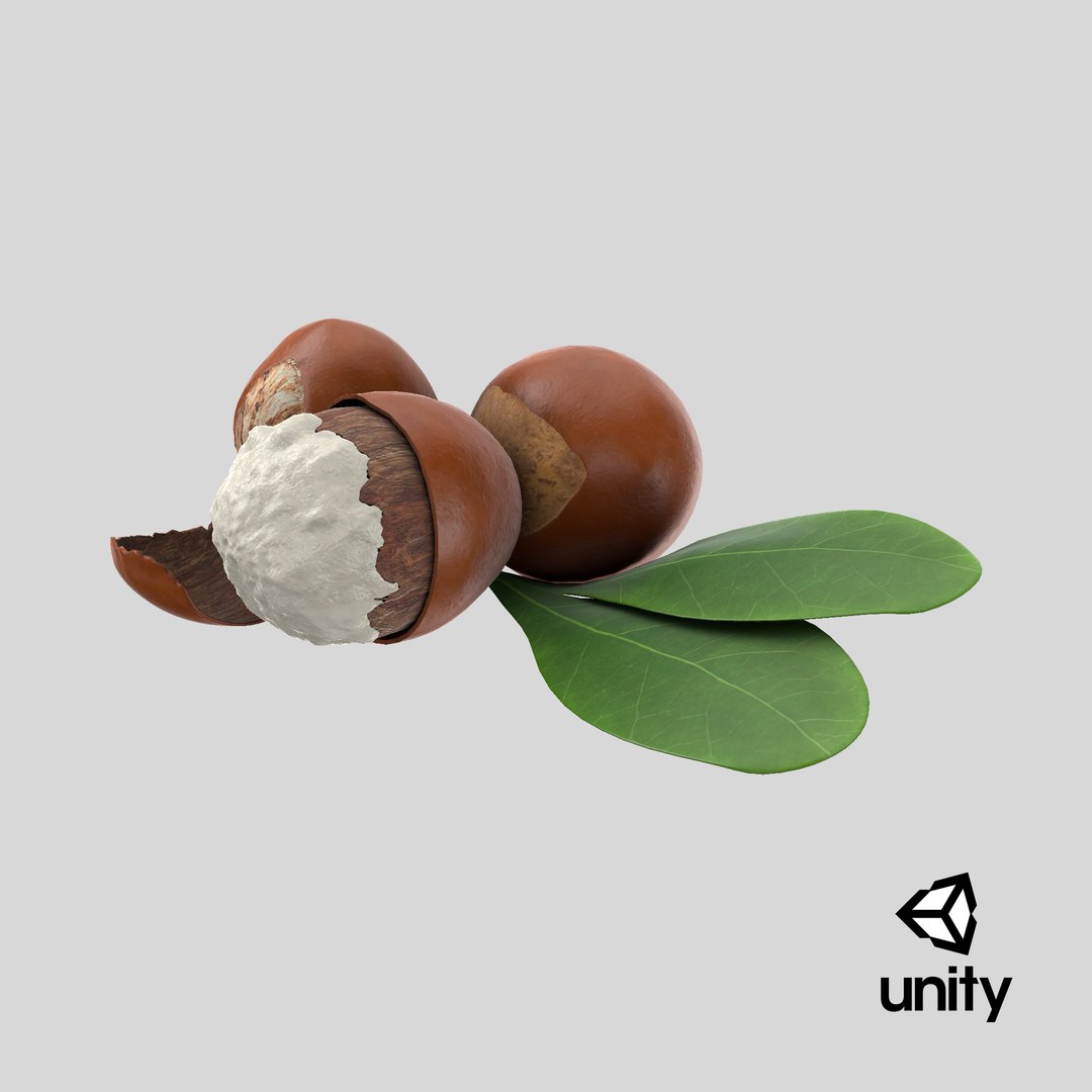 3D model Prop 08 Shea Nuts https://p.turbosquid.com/ts-thumb/JN/azPvm9/UG/stemcell_unity_render/png/1698835577/1920x1080/fit_q87/6fe6bbe5c2ac7ee3ee8620a73ae51e7e21bbed0e/stemcell_unity_render.jpg