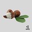 Proposición 08 Nueces de karité