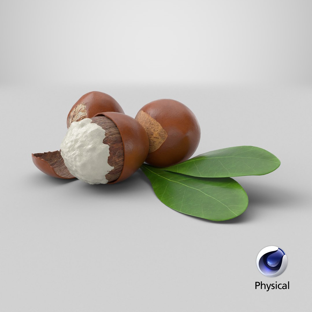 3D model Prop 08 Shea Nuts https://p.turbosquid.com/ts-thumb/JN/azPvm9/cm/stemcell_cinema_4d_physical_render/png/1698835571/1920x1080/fit_q87/514c208563e964a1e41c93b26aa60be1b9d71297/stemcell_cinema_4d_physical_render.jpg