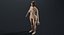 naked man woman 3D model