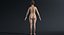 naked man woman 3D model