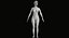 naked man woman 3D model