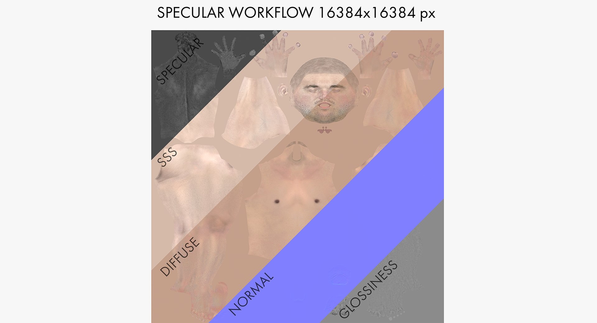naked man woman 3D model https://p.turbosquid.com/ts-thumb/JN/eAp3uH/dUQVJNk5/specularworkflow/png/1583594675/1920x1080/fit_q87/9ec96fed1c2bced331d53e67f57dd34a5dc36c06/specularworkflow.jpg