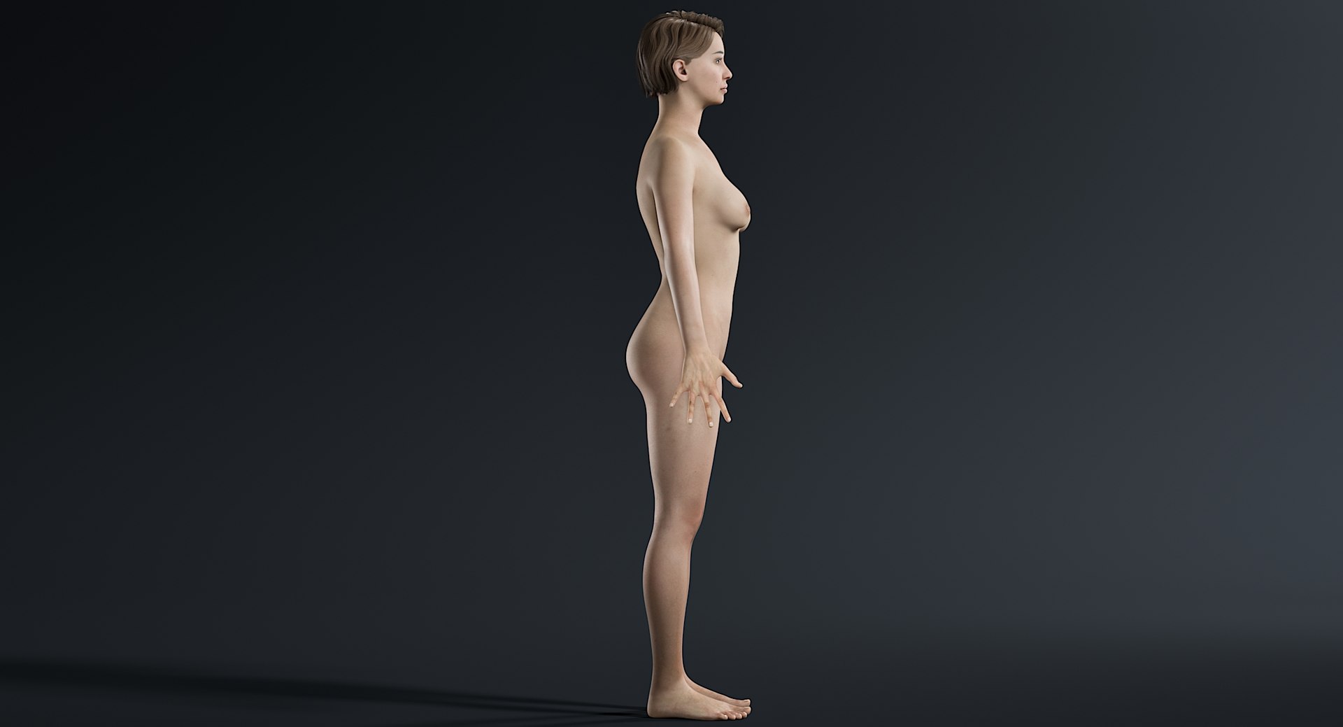 naked man woman 3D model https://p.turbosquid.com/ts-thumb/JN/eAp3uH/muv54NWg/_view210006/jpg/1583593804/1920x1080/fit_q87/68b59d5ab0dc27eebb6c500ff9382ad32cd897f6/_view210006.jpg