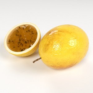 realistic passion fruit parchita model