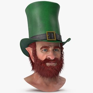 Leprechaun Head 4