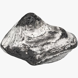 Flint Stone