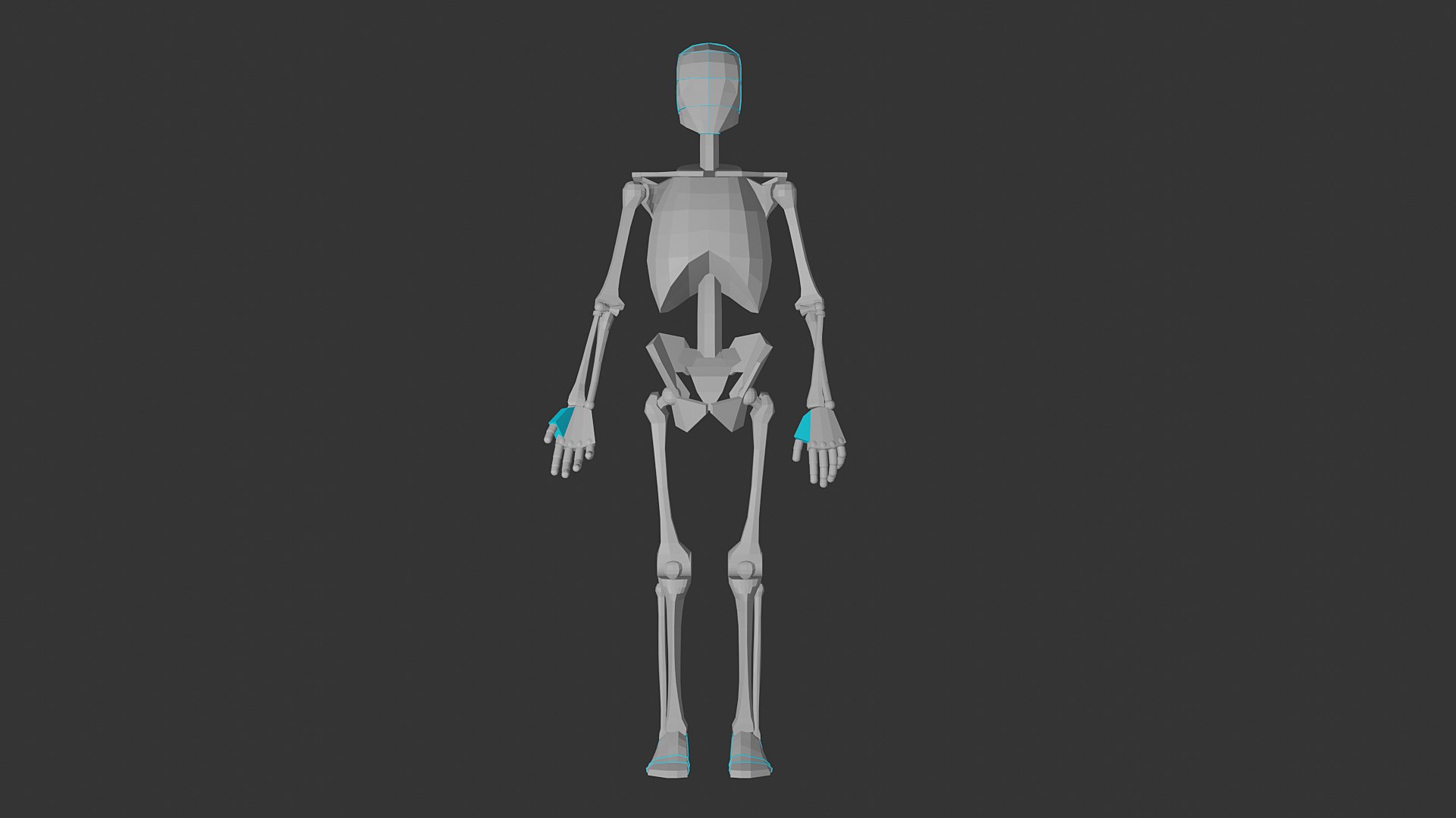 Male Skeleton For Artists1 3D Model - TurboSquid 2110878