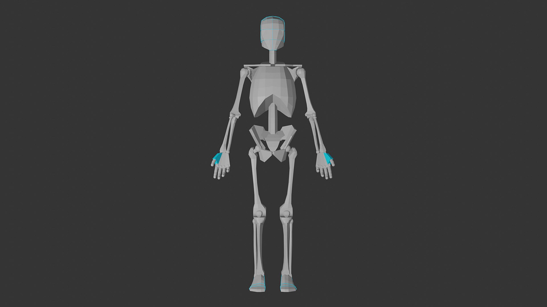 Male Skeleton For Artists1 3D Model - TurboSquid 2110878