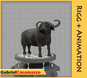 African Buffalo