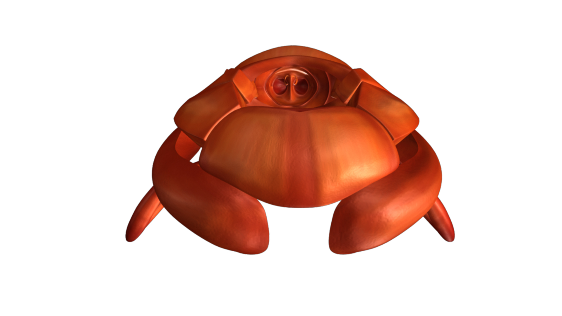 3d model mouth parts cockroach