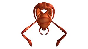3d model mouth parts cockroach