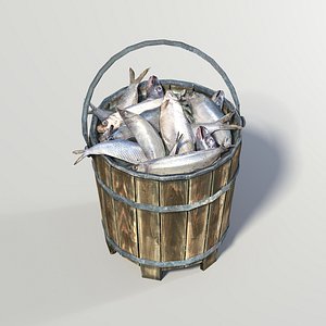 Bucket of fish