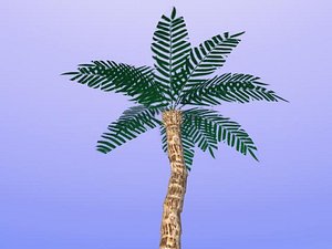 free obj model palm tree