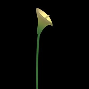calla lily 3d 3ds