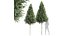 新树 高细节 Carpinus Betulus 切割顶部