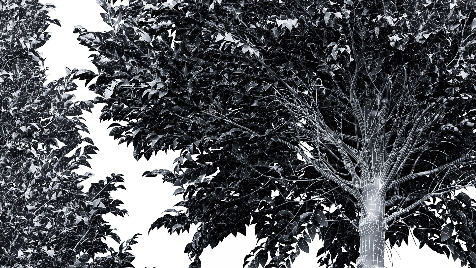 3D model New Tree High detail Carpinus Betulus Cut top https://p.turbosquid.com/ts-thumb/JO/ScUE8D/86/z07/png/1718369215/1920x1080/fit_q87/761c25a658e800f0ce809e8c34d994512a3355bc/z07.jpg