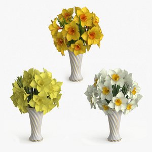 3D Narcissus  Bouquet Flowers