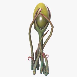 Alien plant