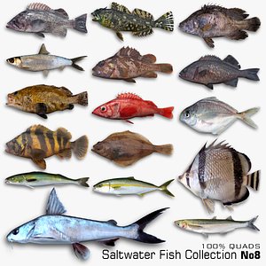 3D model Saltwater Fish Collection 8