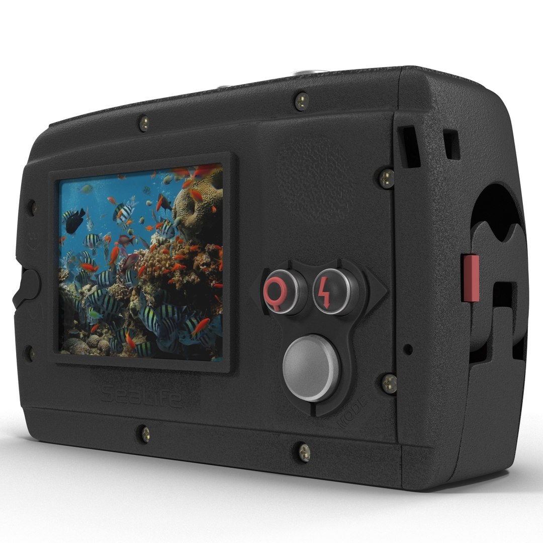 Sealife Reefmaster Underwater Dive 3d Max