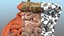 Human Small Intestines and Colon
