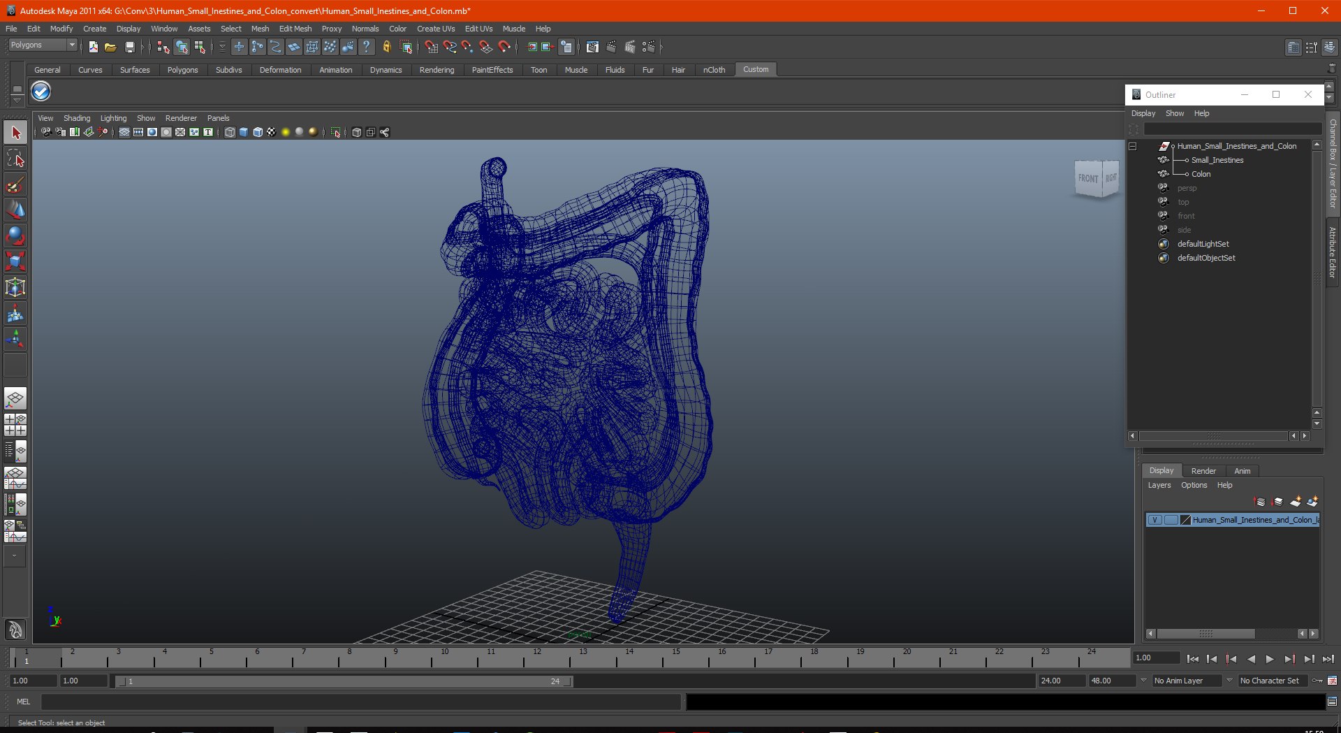 3D human small inestines colon model https://p.turbosquid.com/ts-thumb/JP/7fgalJ/VokVsxoR/humansmallinestinesandcolonmb3dmodel023/jpg/1573164921/1920x1080/fit_q87/0ad089ef915f3bc2d4615197213ccc8568c5fb47/humansmallinestinesandcolonmb3dmodel023.jpg