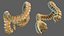 Human Small Intestines and Colon