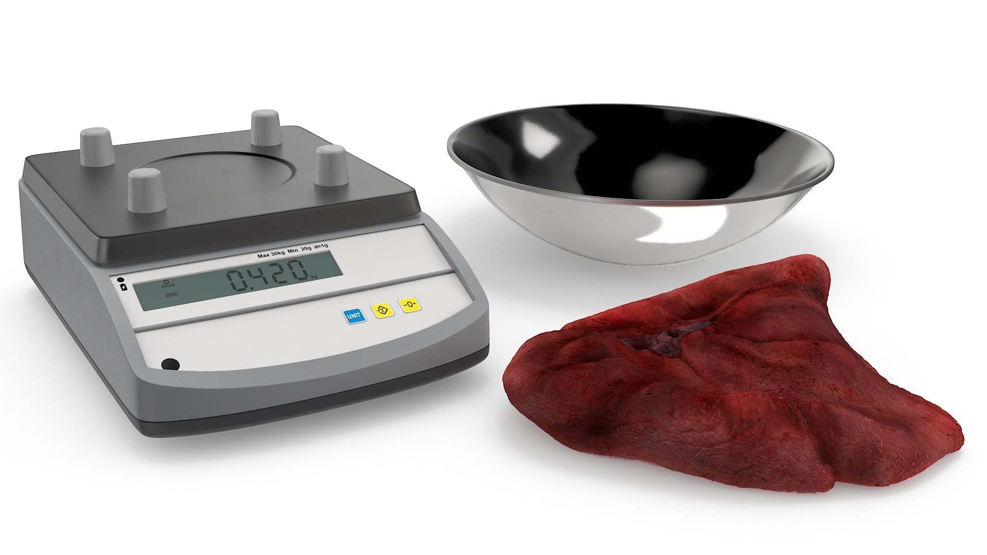 3D Lung on Scales https://p.turbosquid.com/ts-thumb/JP/IDWZA0/I2/lung_on_scales_010/jpg/1743242118/1920x1080/fit_q87/8f91df7e307335a2da3111705d7eeffdc5df9553/lung_on_scales_010.jpg