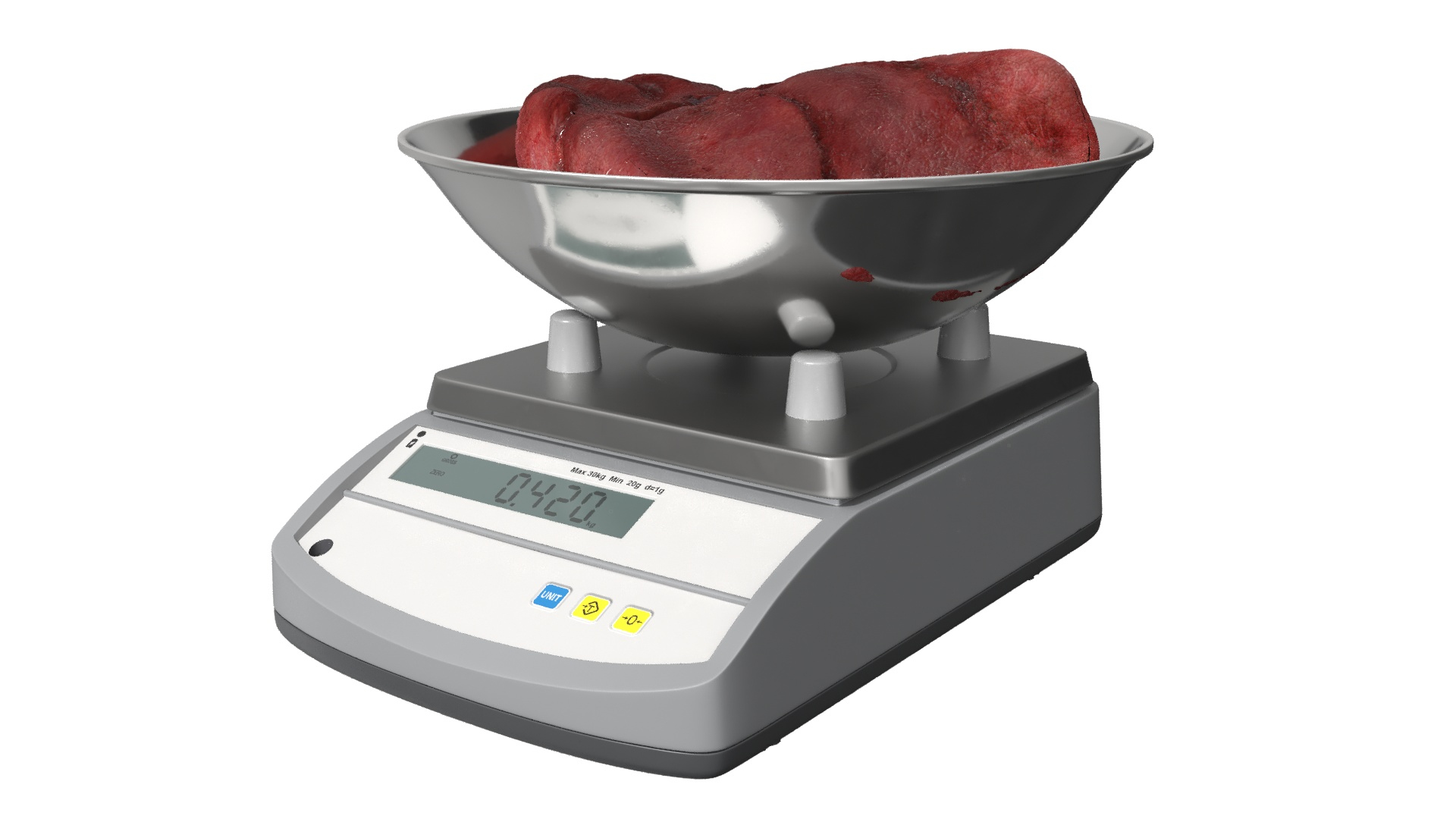 3D Lung on Scales https://p.turbosquid.com/ts-thumb/JP/IDWZA0/by/lung_on_scales_360/jpg/1743241865/1920x1080/turn_fit_q99/ac37e7afef38b2aea9b144f1c426c99be81165d0/lung_on_scales_360-1.jpg