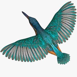 3D kingfisher
