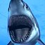 Great White Shark - model
